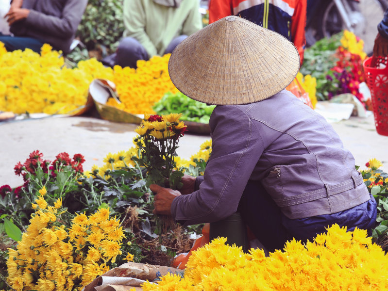 Cities to Experience Local Culture - Hanoi Cities to Experience Local Culture - Hanoi